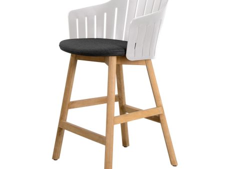 Choice Outdoor Counter Chair - Wood Base - w  Seat Cushion For Cheap