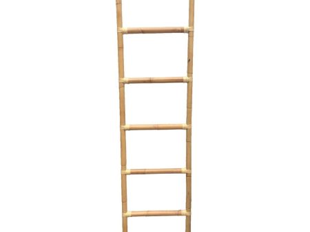 Climb Ladder Cheap