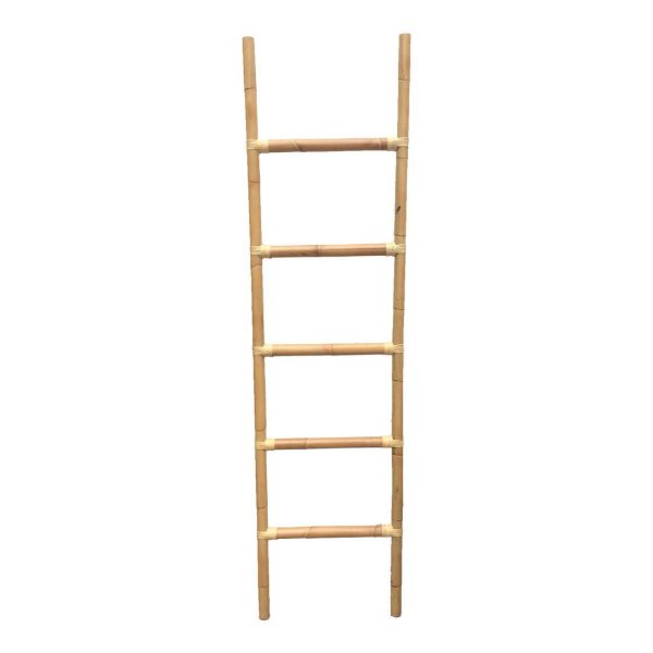 Climb Ladder Cheap