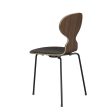 Ant Chair 3100 - Clear Lacquered - Front Upholstered Online now