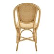 Alanis Dining Chair - Stackable on Sale