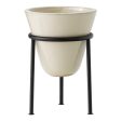 Daiza Planter For Cheap