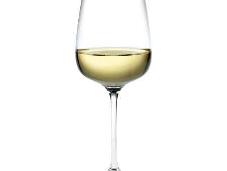 Bouquet White Wine Glass - Set of 6 Fashion