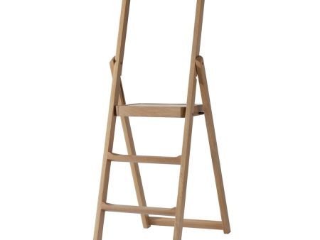 Step Stepladder For Sale