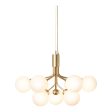 Apiales 9 Chandelier Supply