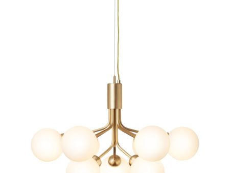 Apiales 9 Chandelier Supply