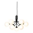 Apiales 9 Chandelier Supply