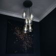 Anoli 6 Chandelier Online now