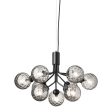 Apiales 9 Chandelier Supply