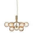 Apiales 9 Chandelier Supply